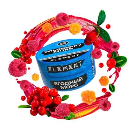 ЭЛЕМЕНТ Вода Wildberry Mors (Ягодный морс) 25г