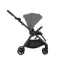 Коляска ANEX iQ 2 в 1 lune