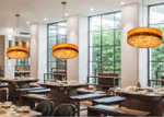 Pendant design lamp Spiro by LZF D80 (Black)