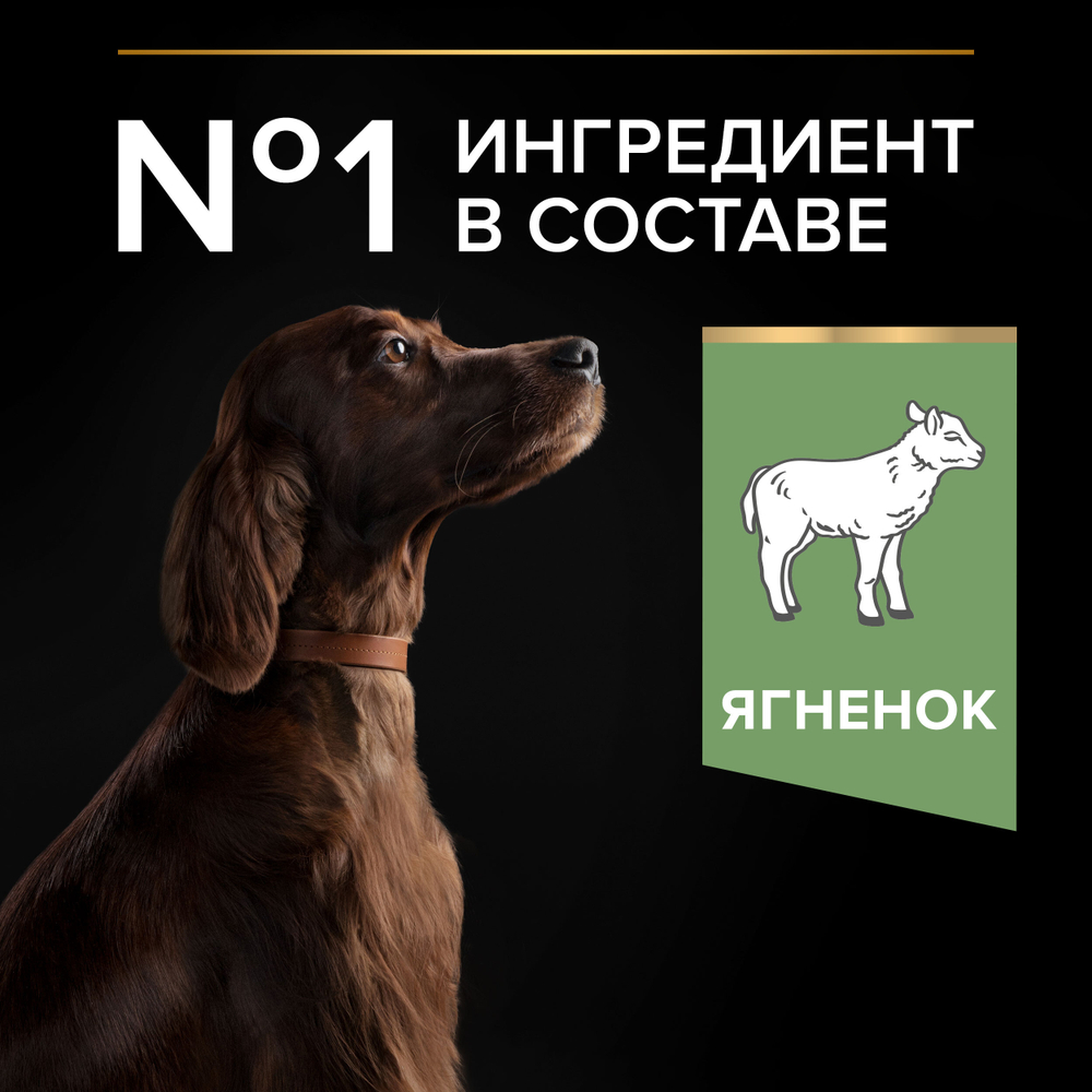 Сухой корм PRO PLAN SENSITIVE DIGESTION для взрослых собак крупных пород с атлетическим телосложением с чувствительным пищеварением ягненок 14 кг