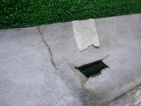 DSCN1201.JPG