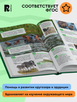 Удивительные животные. Энциклопедия российского школьника