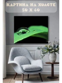 Картина на стену 40 X 50 Роса