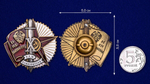 Знак "За революционную законность" Наркомат юстиции УССР №2105