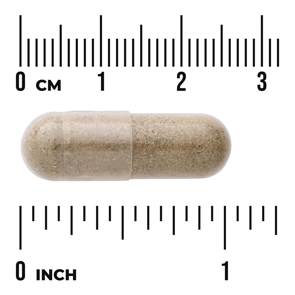 Swanson Vitamins, Full Spectrum®, Chanca Piedra, 500 мг, 60 растительных капсул