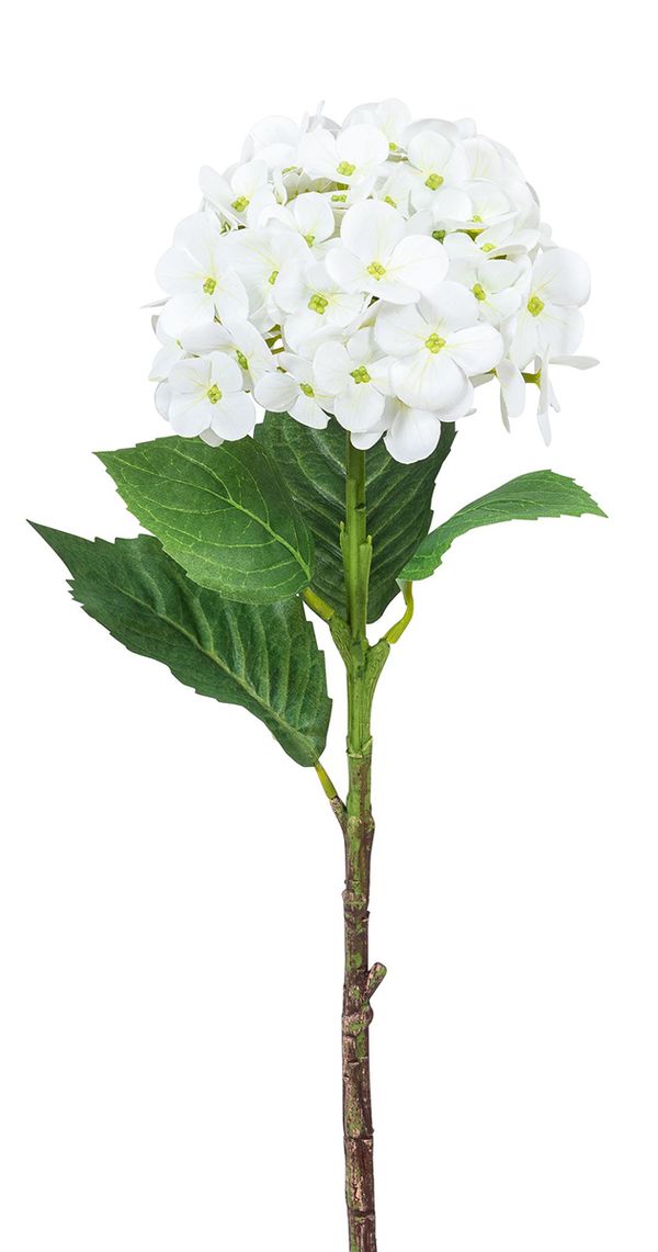Веточка декоративная Fiebiger Floristik: Гортензия l=46 см