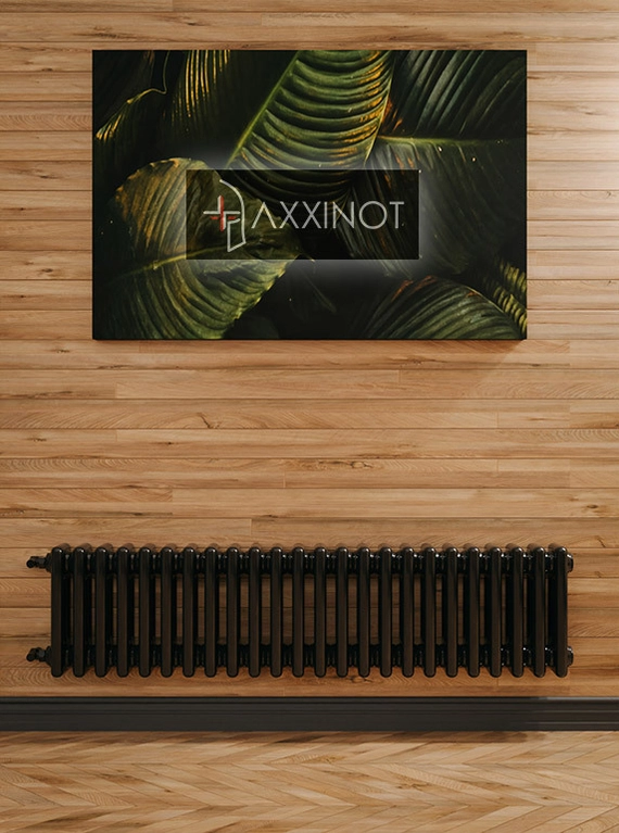 Axxinot Sentir 3020 - трехтрубный трубчатый радиатор высотой 200 мм, боковое подключение