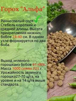 Семена Горох 200 грамм