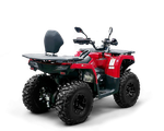 Квадрицикл Bizon YK250 LUX EFI ПТС