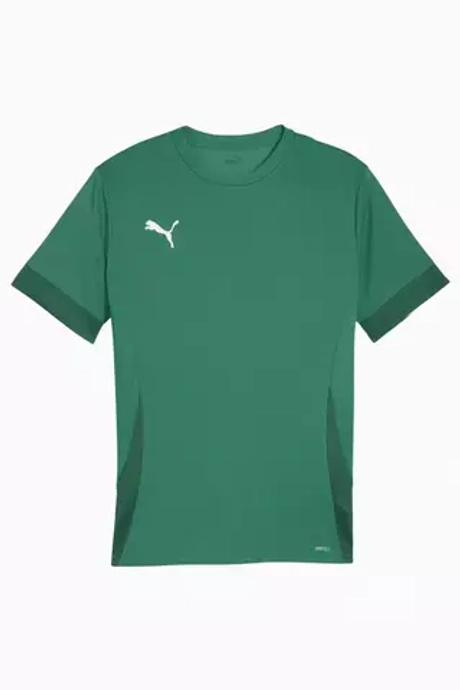Футболка Puma teamGOAL Matchday
