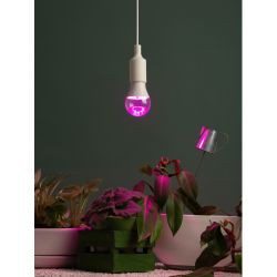 Фитолампа для растений светодиодная ЭРА FITO-25W-RB-E27 красно-синего спектра 25 Вт Е27 | Фитолампы Е27