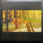 Childish Gambino ‎– Camp 2LP (Чехия)