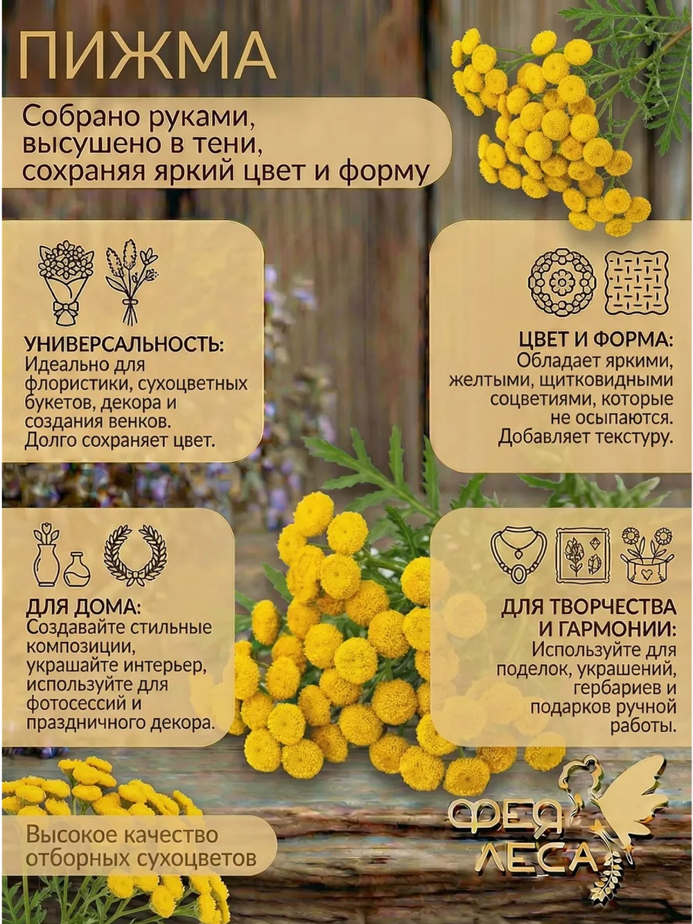 Пижма соцветия: для свечей, магии и здоровья