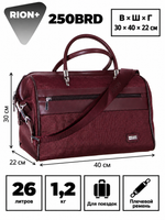 RION+ 250BRD — инфографика