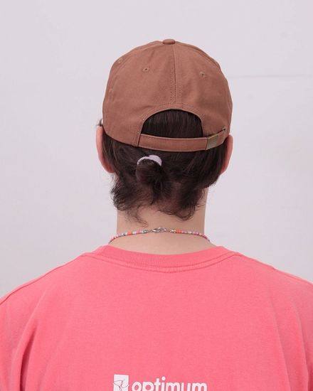 Кепка Anteater 6panel-Coffee