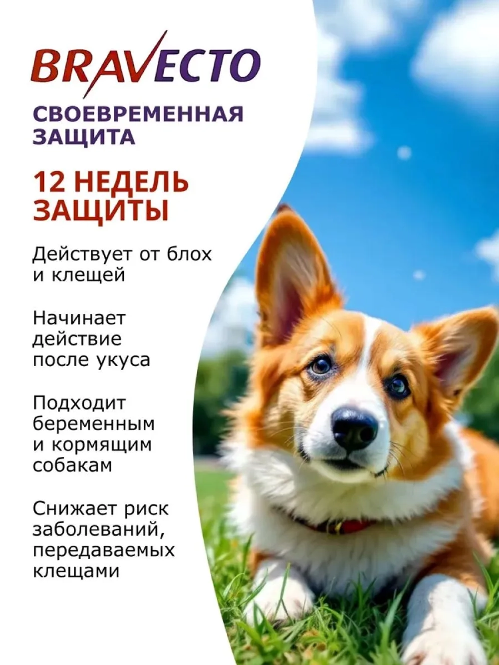 Таблетка для собак 10-20кг от блох и клещей 500мг