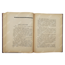 Фриче В. М. Очерки социальной истории искусства, 1923.