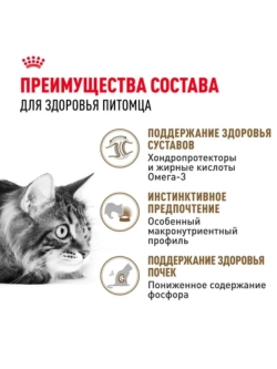 AGEING 12+ Корм для кошек в желе 85г*28шт