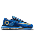 Заказать в Москве Nike KD 6 Elite Premium Supremacy