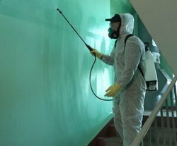 Опрыскиватель аккумуляторный садовый GREENWORKS GSP1250 24В,7.57 л,2.2 л/мин,без АКБ и ЗУ (5103507)