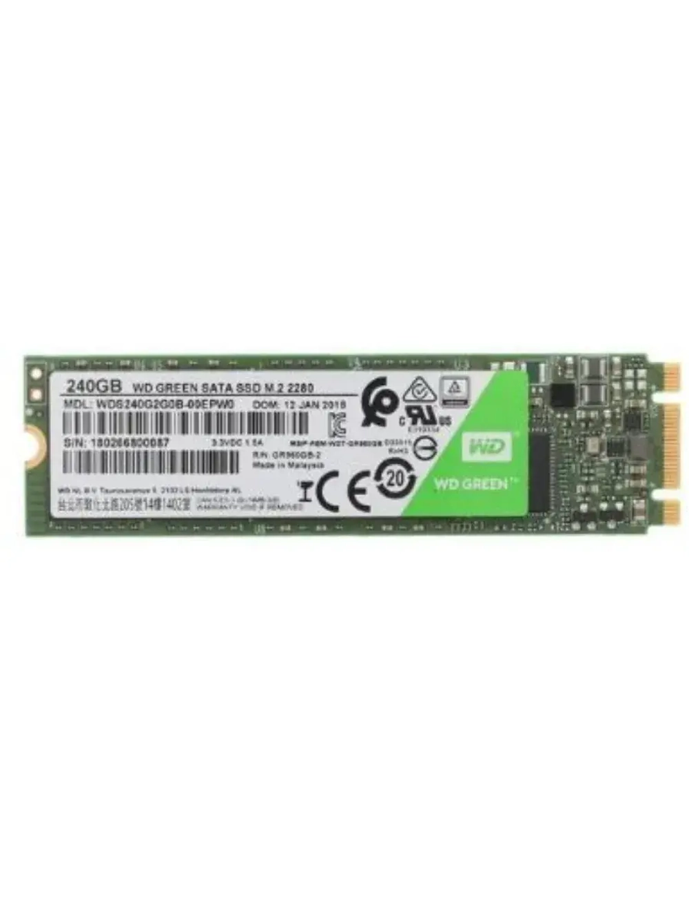 240 ГБ M.2 SSD накопитель Green WDS240G2G0B