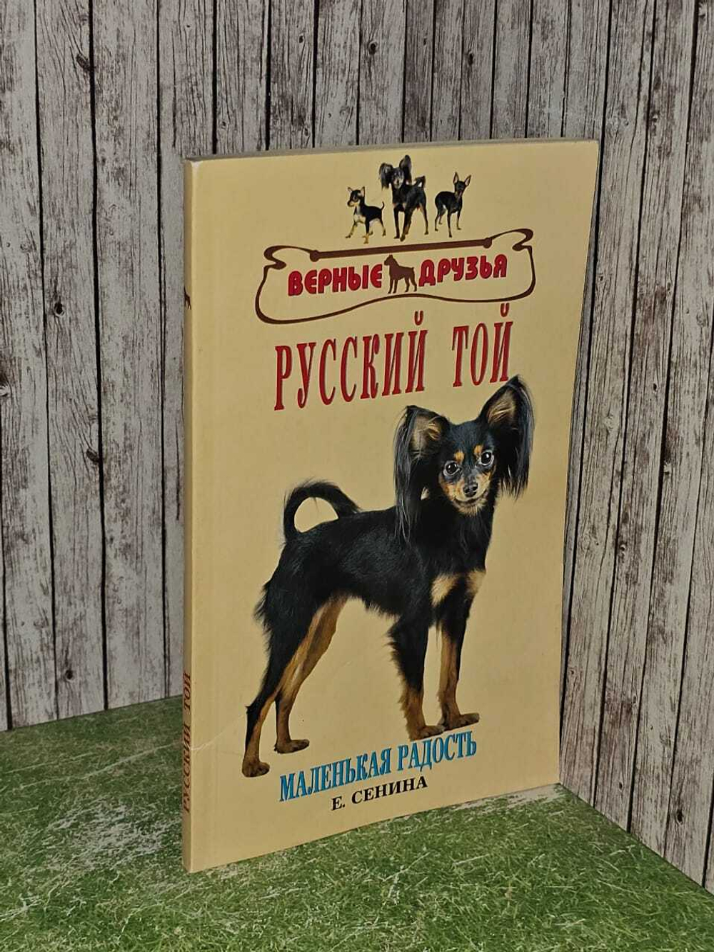 Русский той. Маленькая радость. Сенина Елена Николаевна