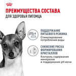 Royal Сanin Mini Urinary Care Мини Уринари Кэа Корм сухой диета для собак мелких размеров с чувствительной мочевыделительной системой 1кг