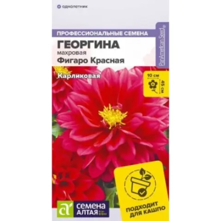 Георгина Фигаро Красная махровая 5шт Семена Алтая