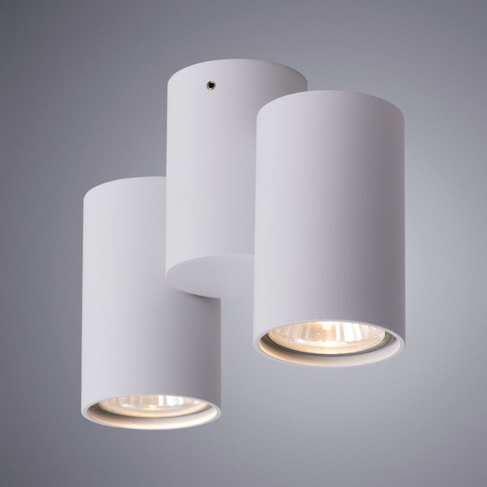 Светильник потолочный Arte Lamp Gavroche A1511PL-2WH