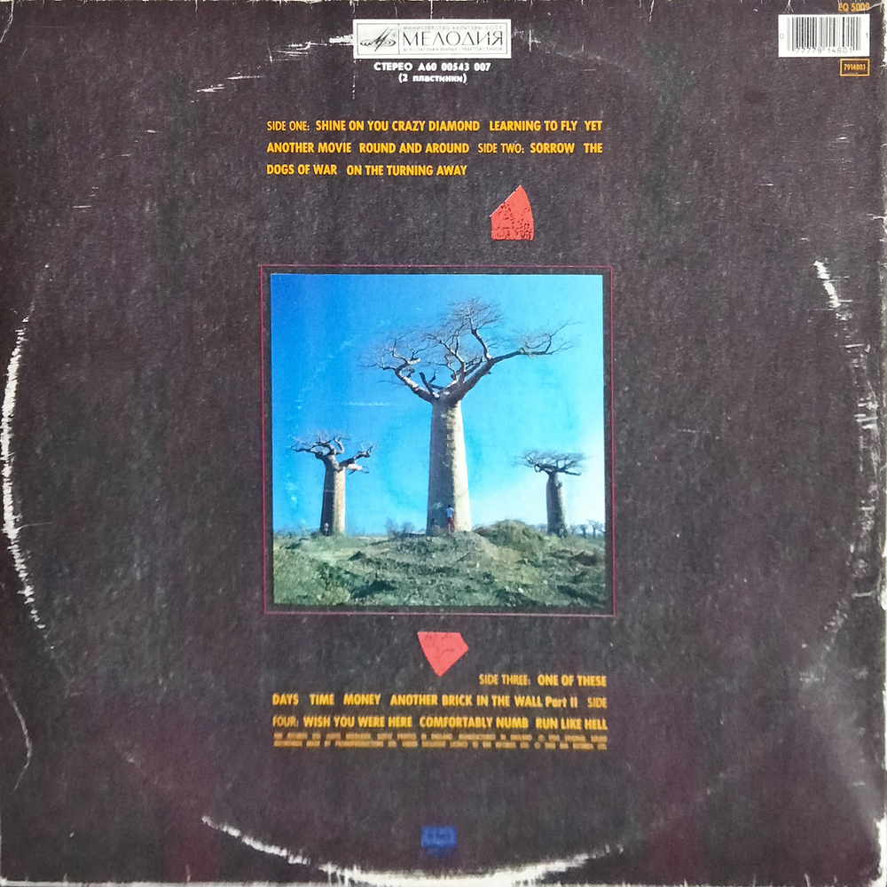 Pink Floyd / Delicate Sound Of Thunder (2LP)
