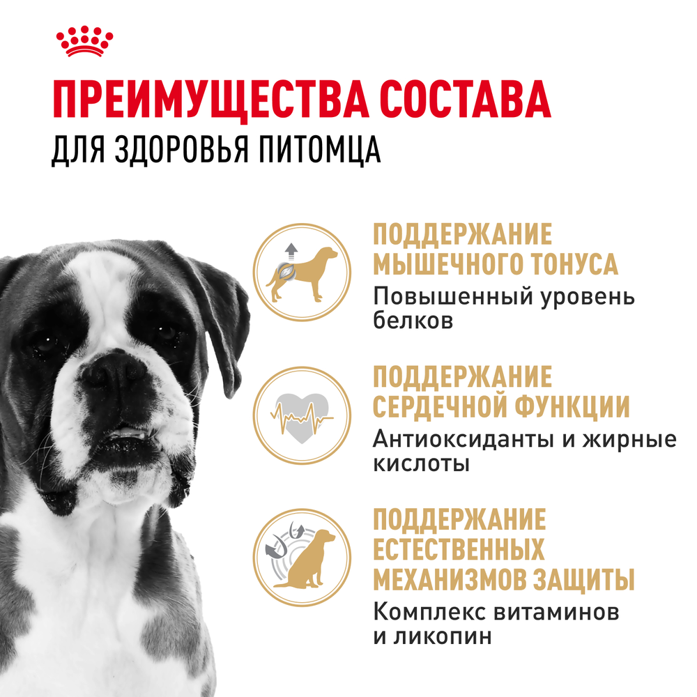 Royal Canin Boxer Adult Боксер Эдалт Корм сухой для взрослых и стареющих собак породы боксер от 15 месяцев 12 кг
