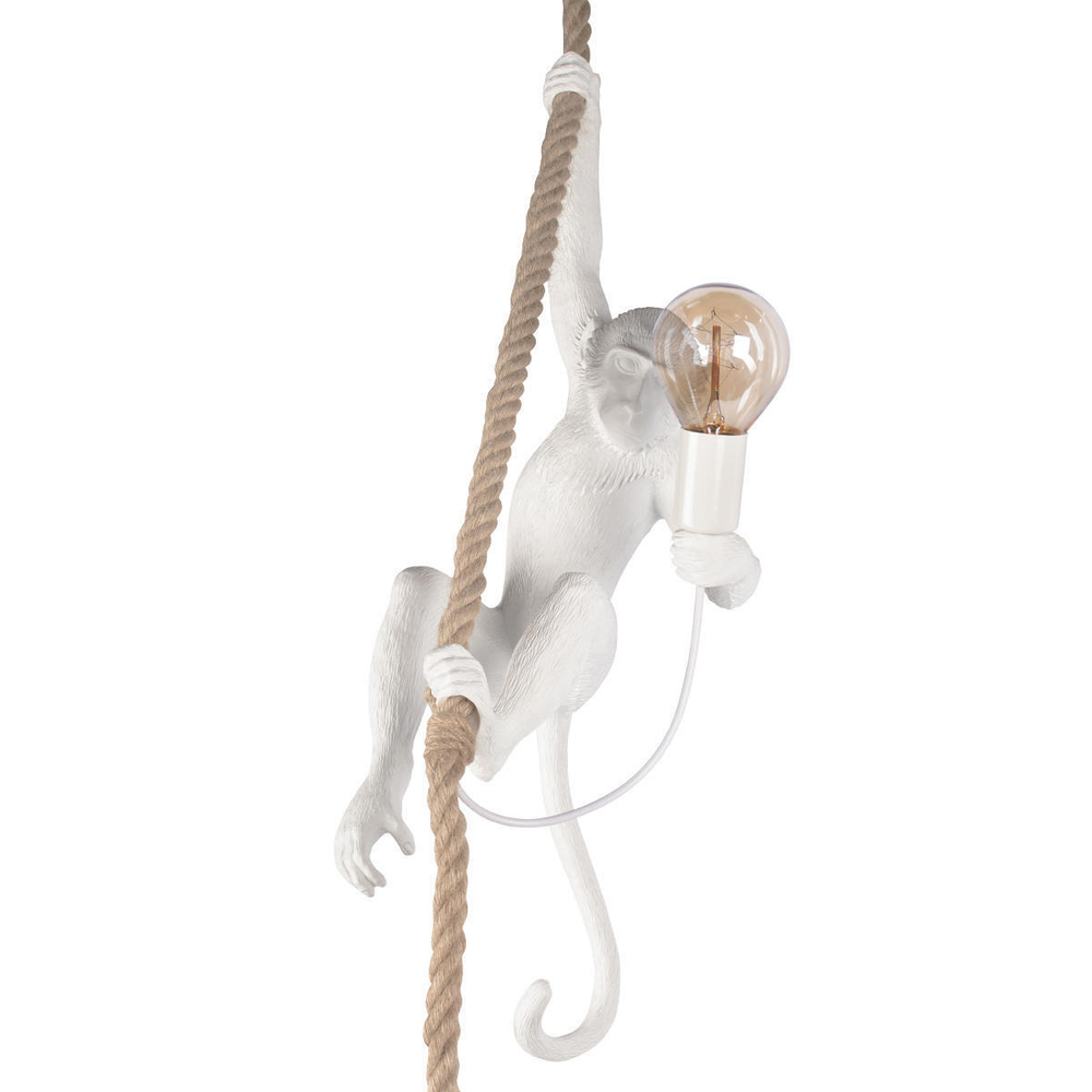 Подвесной светильник Loft It Monkey  10314P