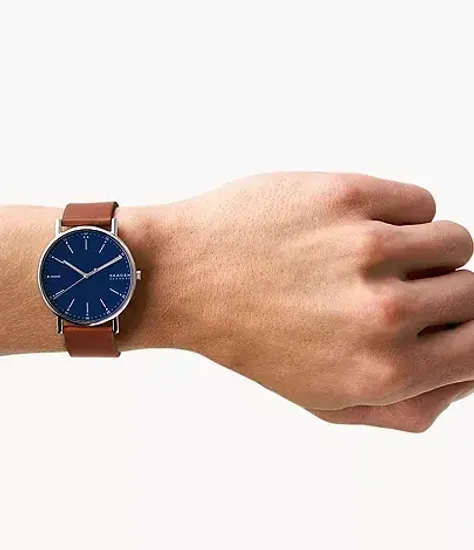 Мужские часы Skagen SKW6355