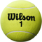 Мяч для автографов Wilson Roland Garros Jumbo Ball 9" Yellow