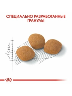 Exigent Protein Корм для привередливых кошек 2кг