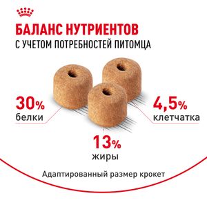 Сухой корм Royal Canin Labrador Retriever Adult для взрослых собак породы Лабрадор Ретривер от 15 месяцев