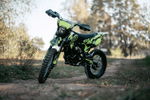 Z1 Neon Raven