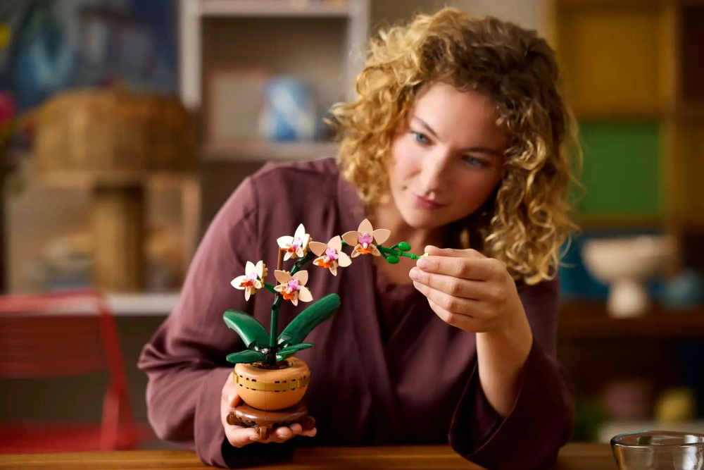 Конструктор LEGO Botanical Collection 10343 Мини орхидея