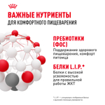 Royal Canin Sensible 33 Сенсибл Корм сухой для взрослых кошек с чувствительным пищеварением в возрасте старше 1 года 4кг