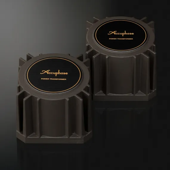 Accuphase DC-1000 Gold
