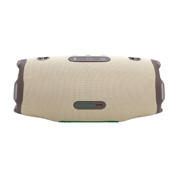 Портативная колонка JBL Charge 6, песочный