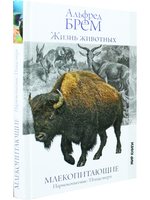 Жизнь животных. Млекопитающие