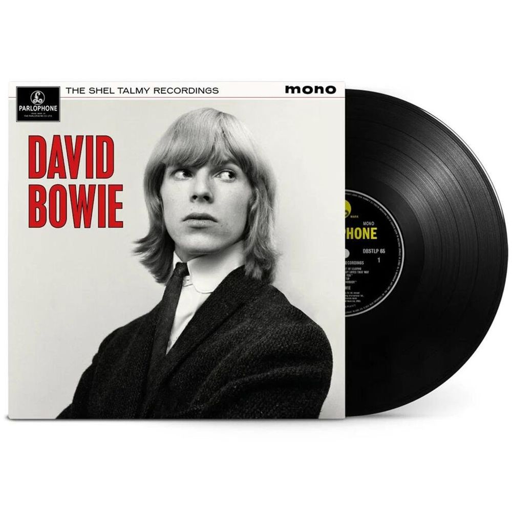 David Bowie / The Shel Talmy Recordings (Limited Edition)(LP)