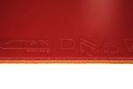 Stiga DNA Platinum S