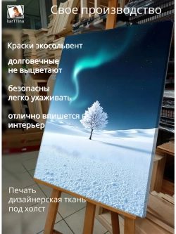 Картина "Северный танец", для интерьера 50х70см 1шт.