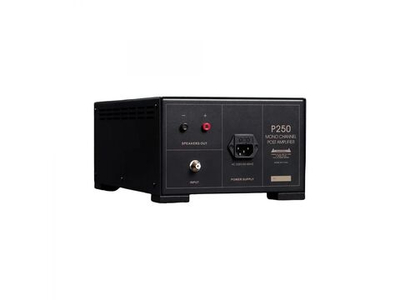 Усилитель для акустики Spotless Audio P250 Monoblock 2 шт
