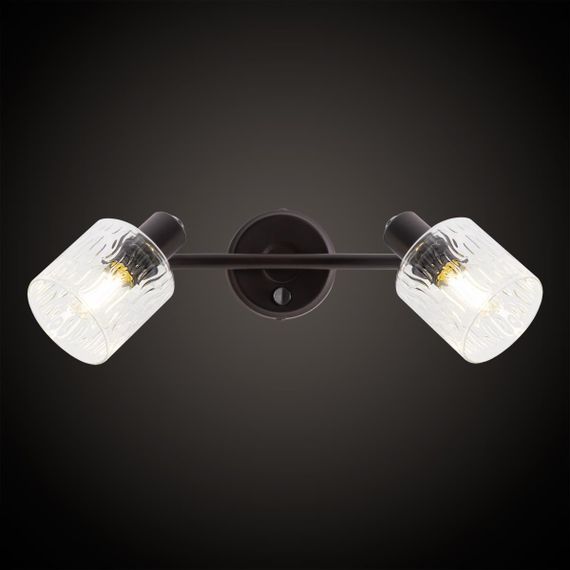 Спот Citilux Артик CL510525