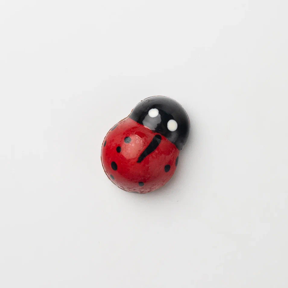 Божья коровка