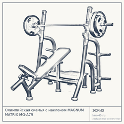 Олимпийская скамья с наклоном MAGNUM MATRIX MG-A79 — от 232 000 ₽