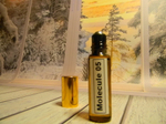 Масляные духи унисекс СвеТLана Mr. Newl C&M039-02 5 ml